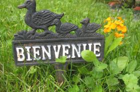 Les Chambres de l'Ile - photo 8